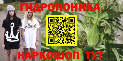 соль курить ск Аргун