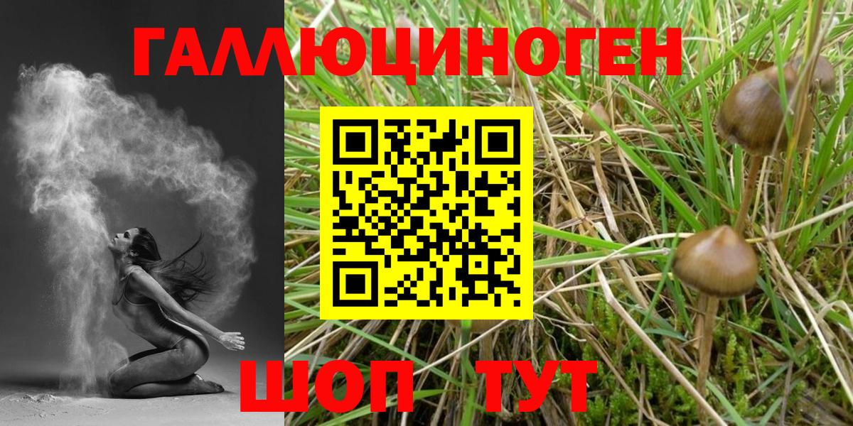 Галлюциногенные грибы GOLDEN TEACHER Берёзовский