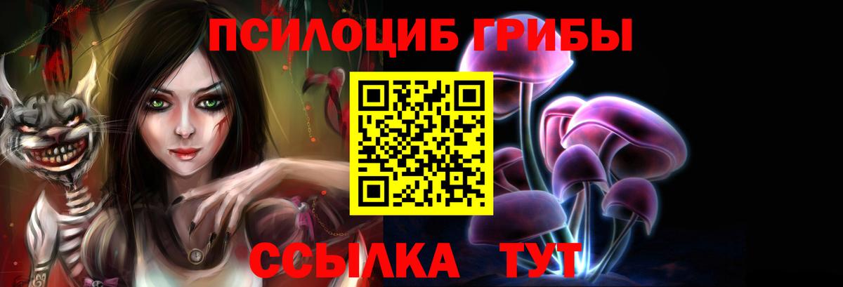 Галлюциногенные грибы Psilocybe  Берёзовский 